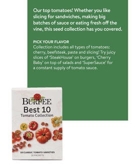Burpee Best 10 tomato seeds varieties chart highlights flavor options for planning meals.
