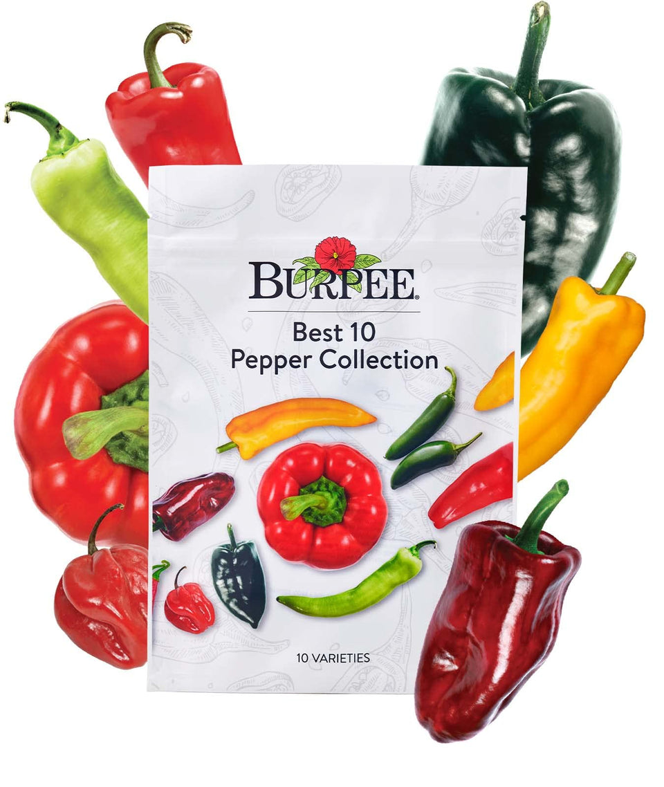 Burpee Best Collection seed packets top view for a diverse pepper garden