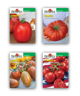 Burpee Best Starter Kit Shimmer seed packet for sweet cherry tomatoes