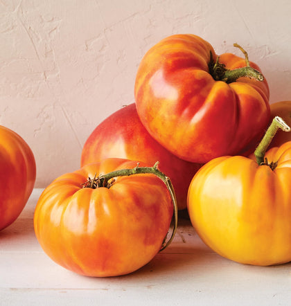 Burpee Big Rainbow tomato on the vine with large ripe fruit ready for slicing.