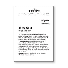 Organic Burpee Big Rainbow seed packet with non-GMO certification.