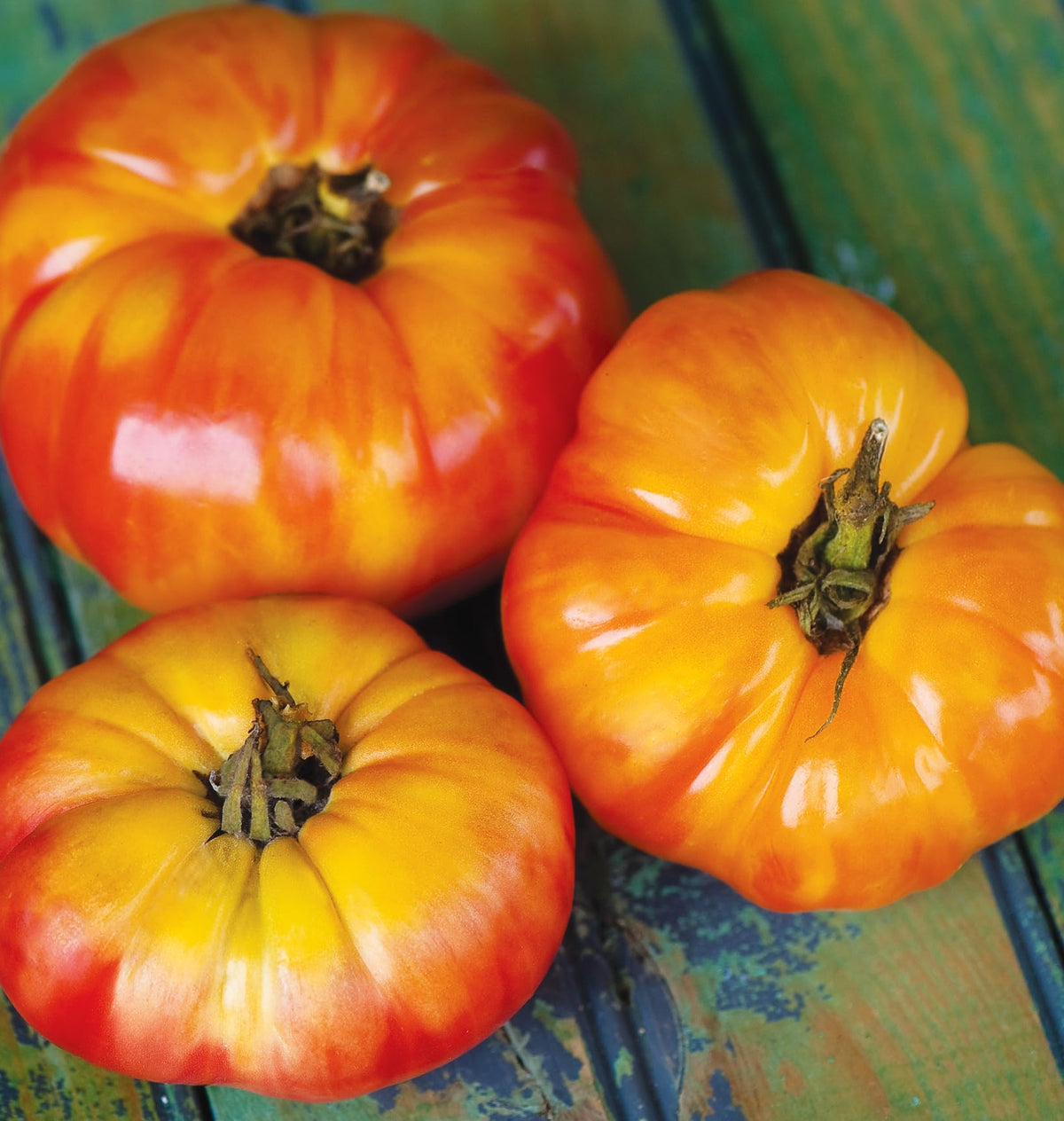 Sliced Burpee Big Rainbow tomato arranged for a colorful platter.