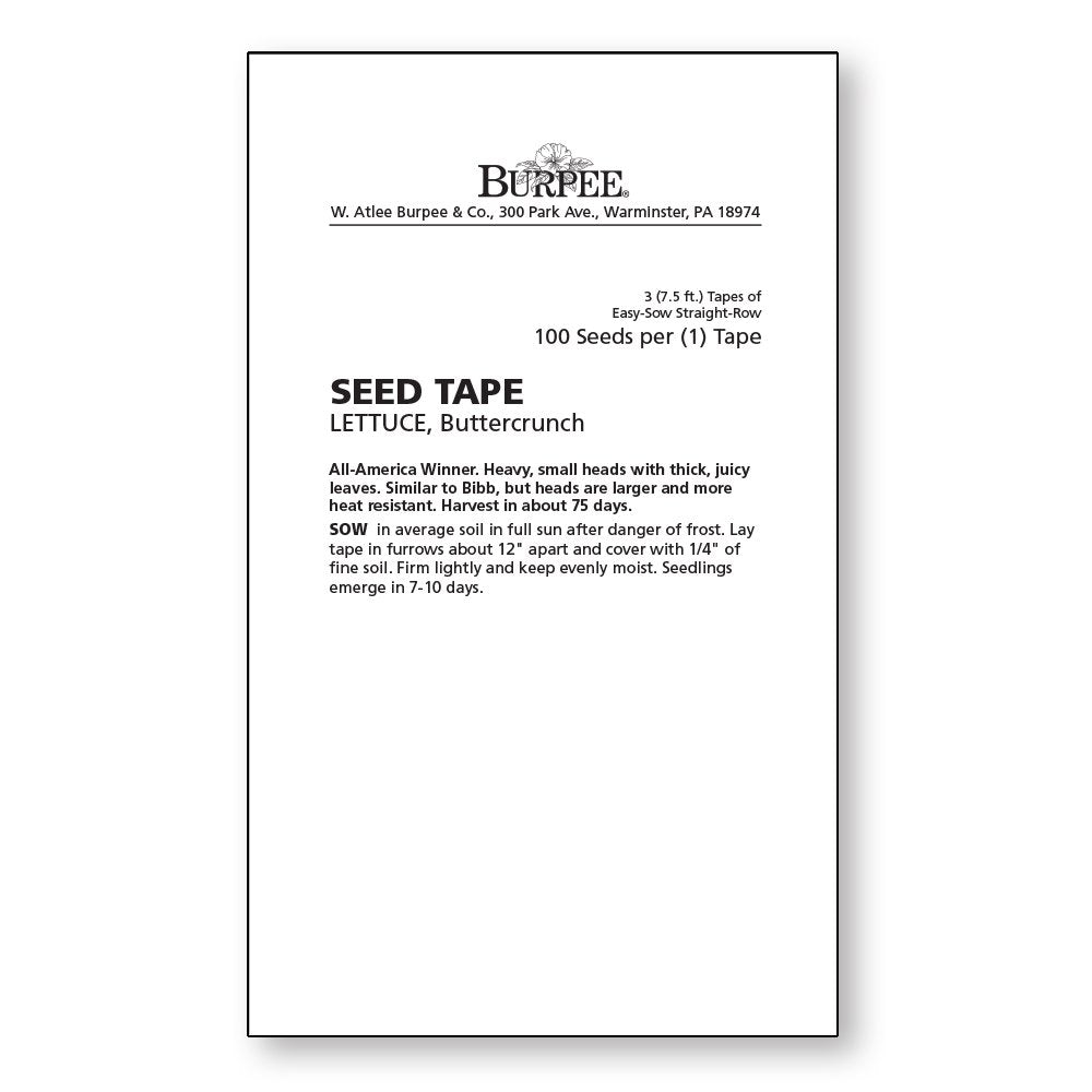 Burpee Buttercrunch Lettuce Tape garden setup demonstrates quick harvest and compact spacing.