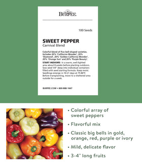 Burpee Carnival Mix seed packet back shows simple indoor starting guidance.