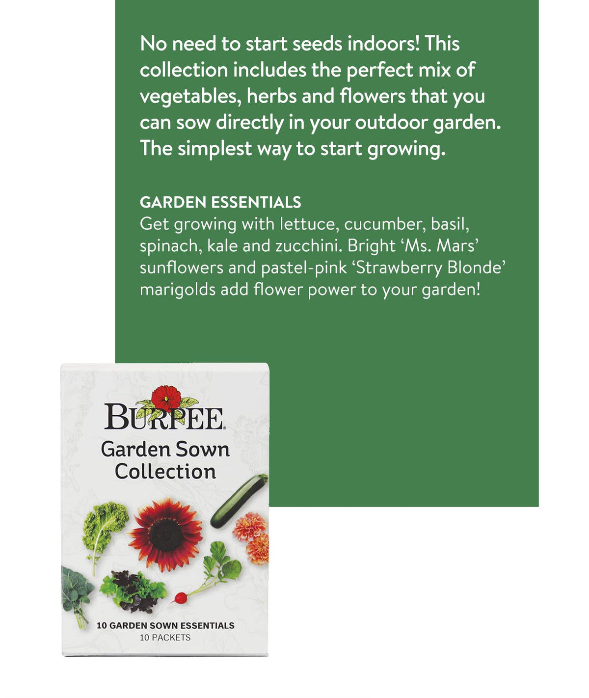 Burpee cucumber seeds ideal for direct sowing in sunny beds