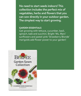 Burpee cucumber seeds ideal for direct sowing in sunny beds