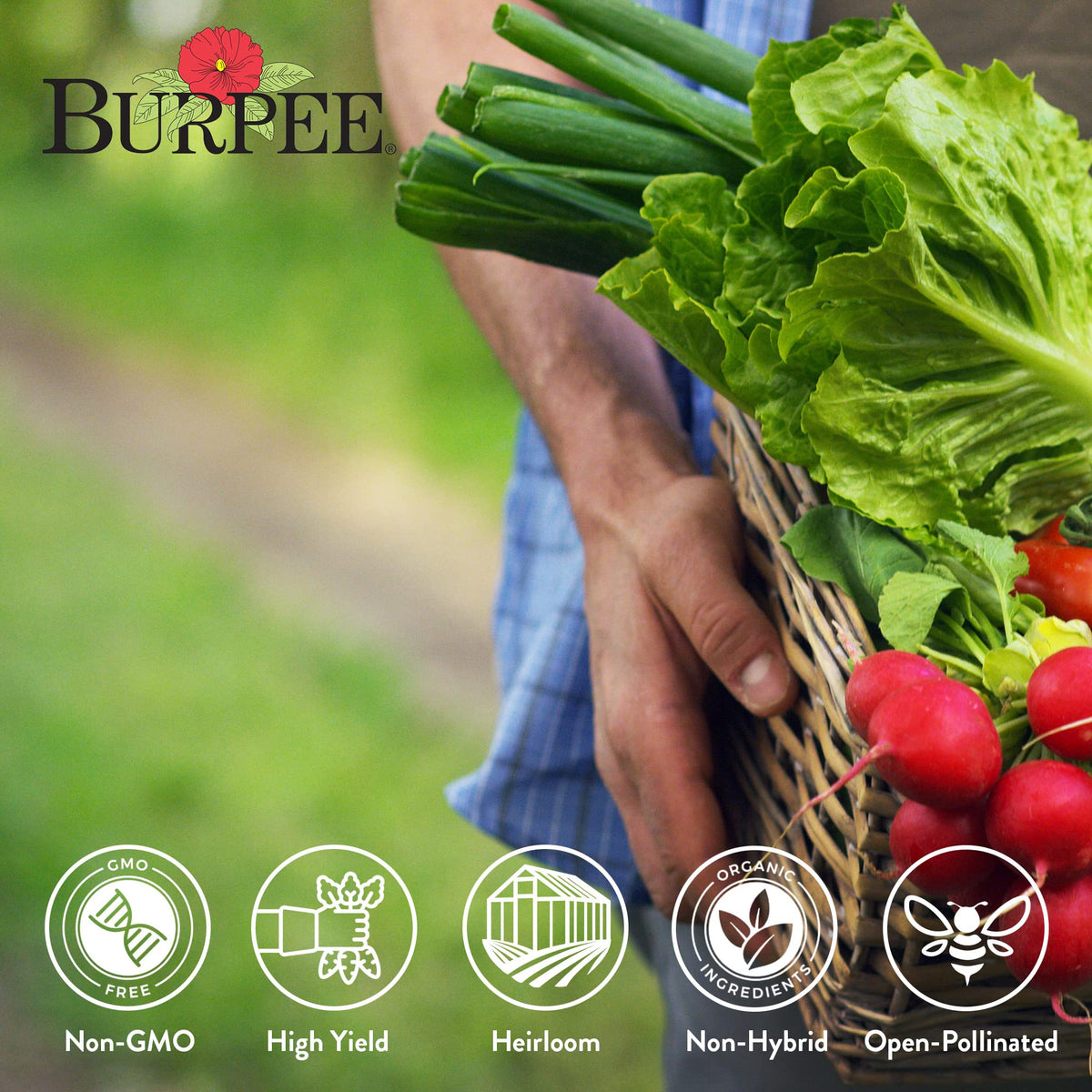 Burpee cucumber-tomato-eggplant seeds image, perfect for a versatile home garden.