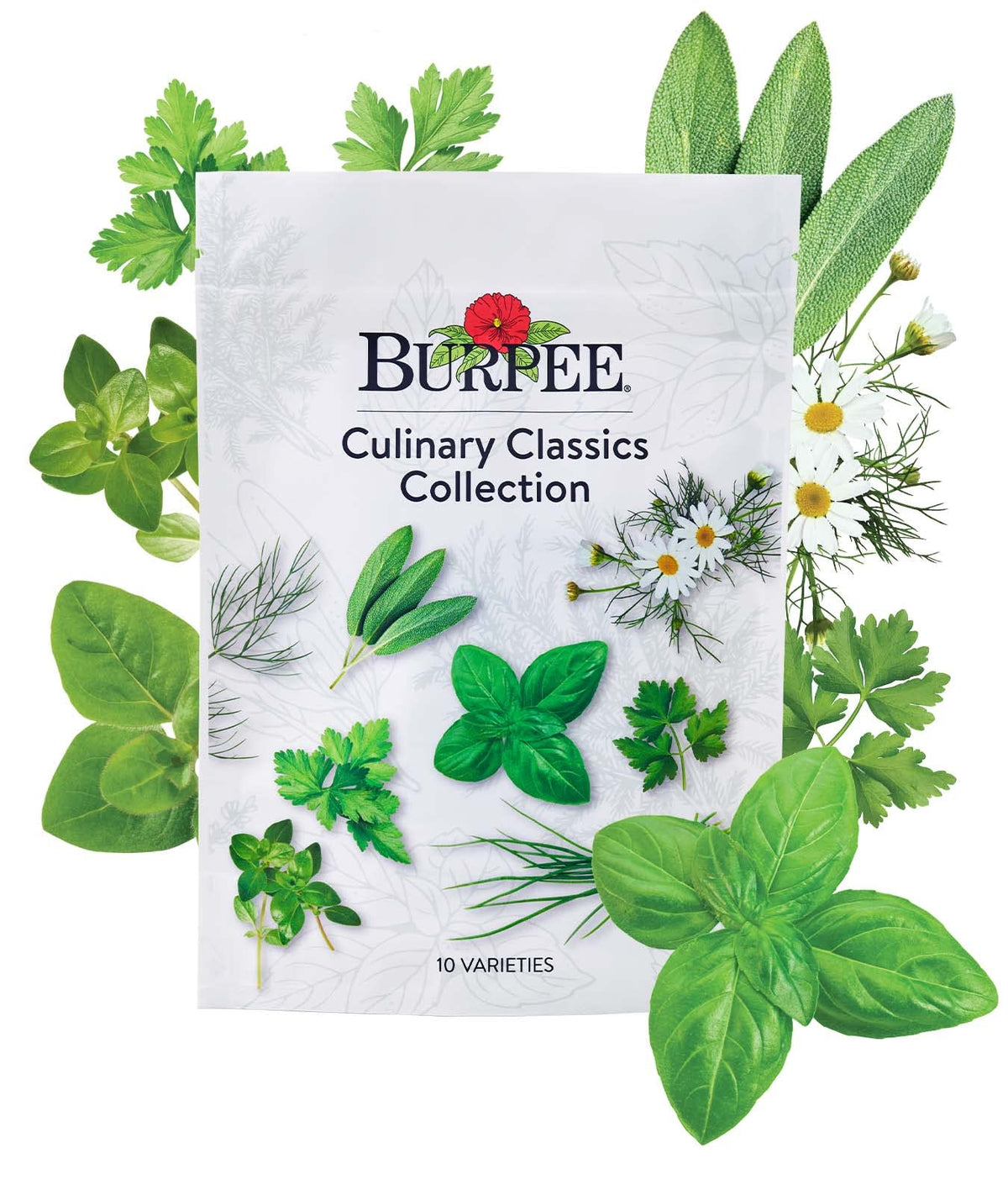 Burpee Culinary Classics Basil seeds for fresh pesto and vibrant pizzas