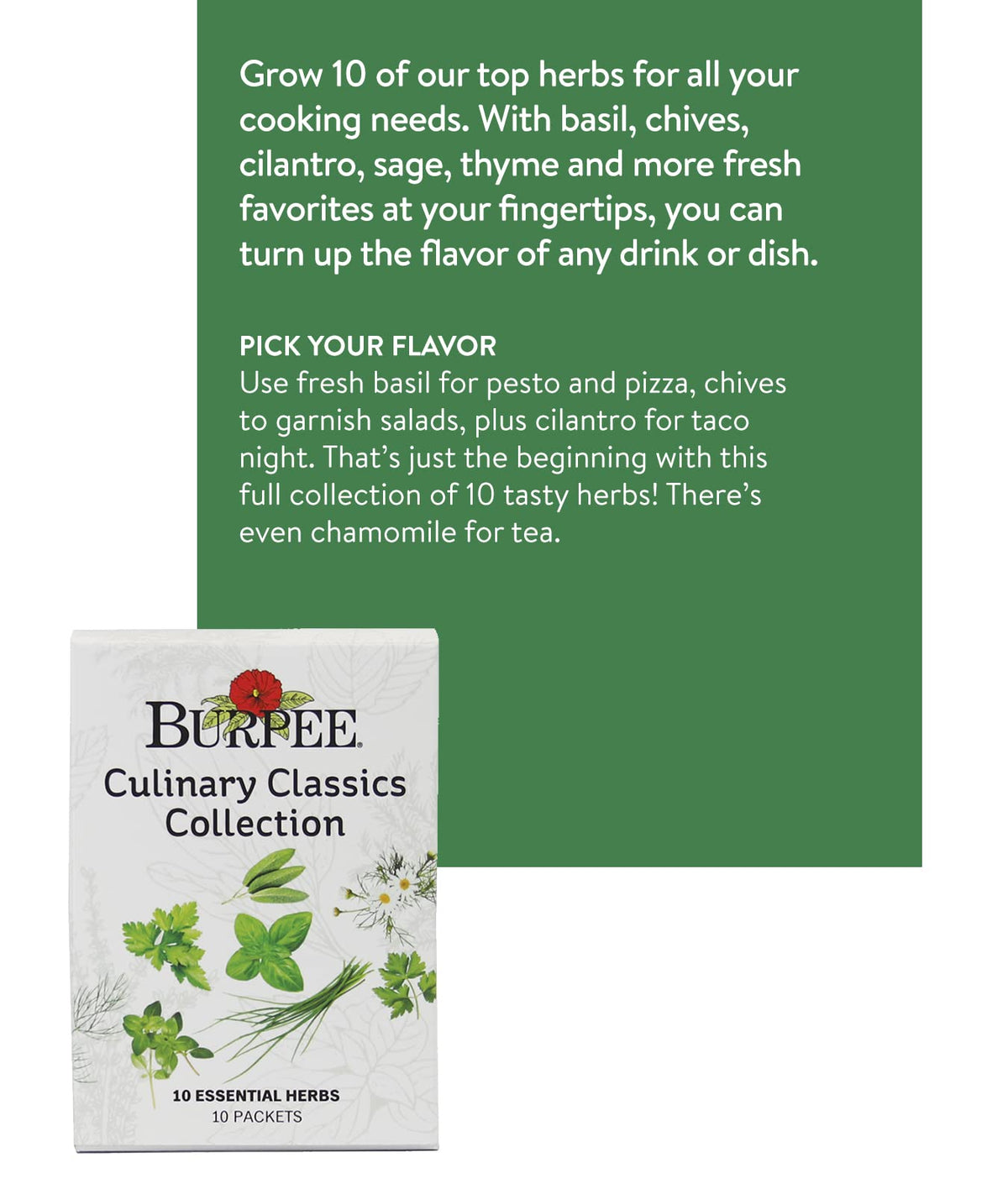 Burpee Culinary Classics Chives seeds for bright garnishes and mild onion flavor