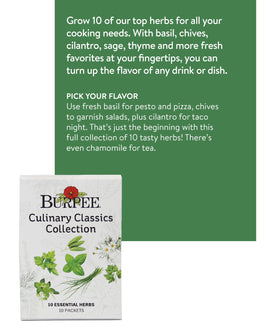 Burpee Culinary Classics Chives seeds for bright garnishes and mild onion flavor
