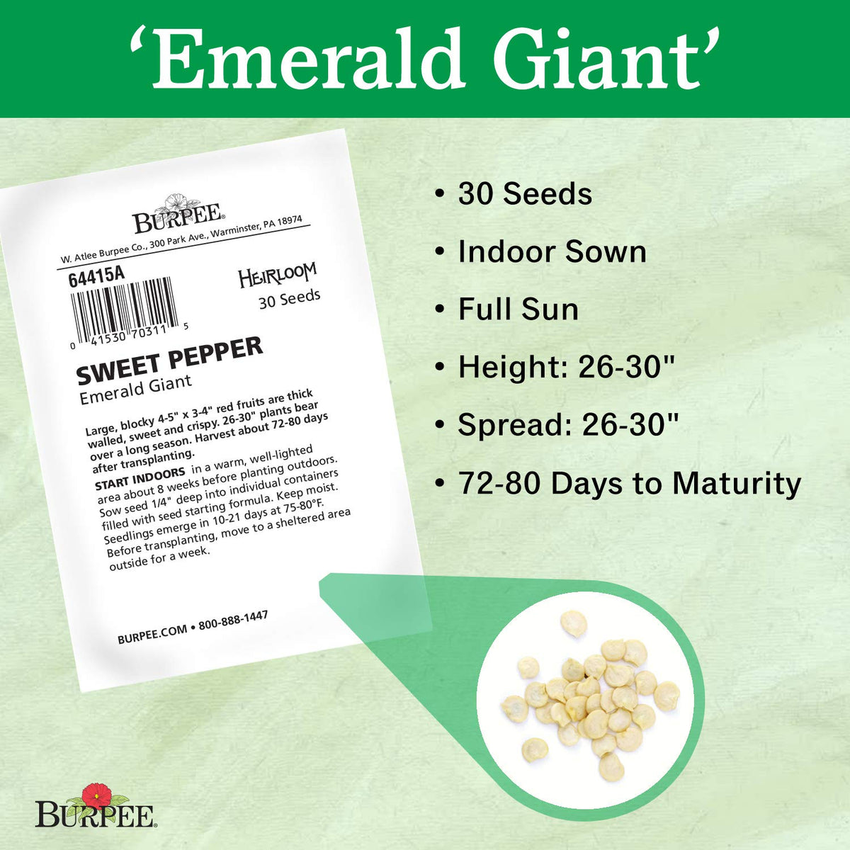 Burpee Emerald Giant seeds packet ready for indoor sowing and starting kits.
