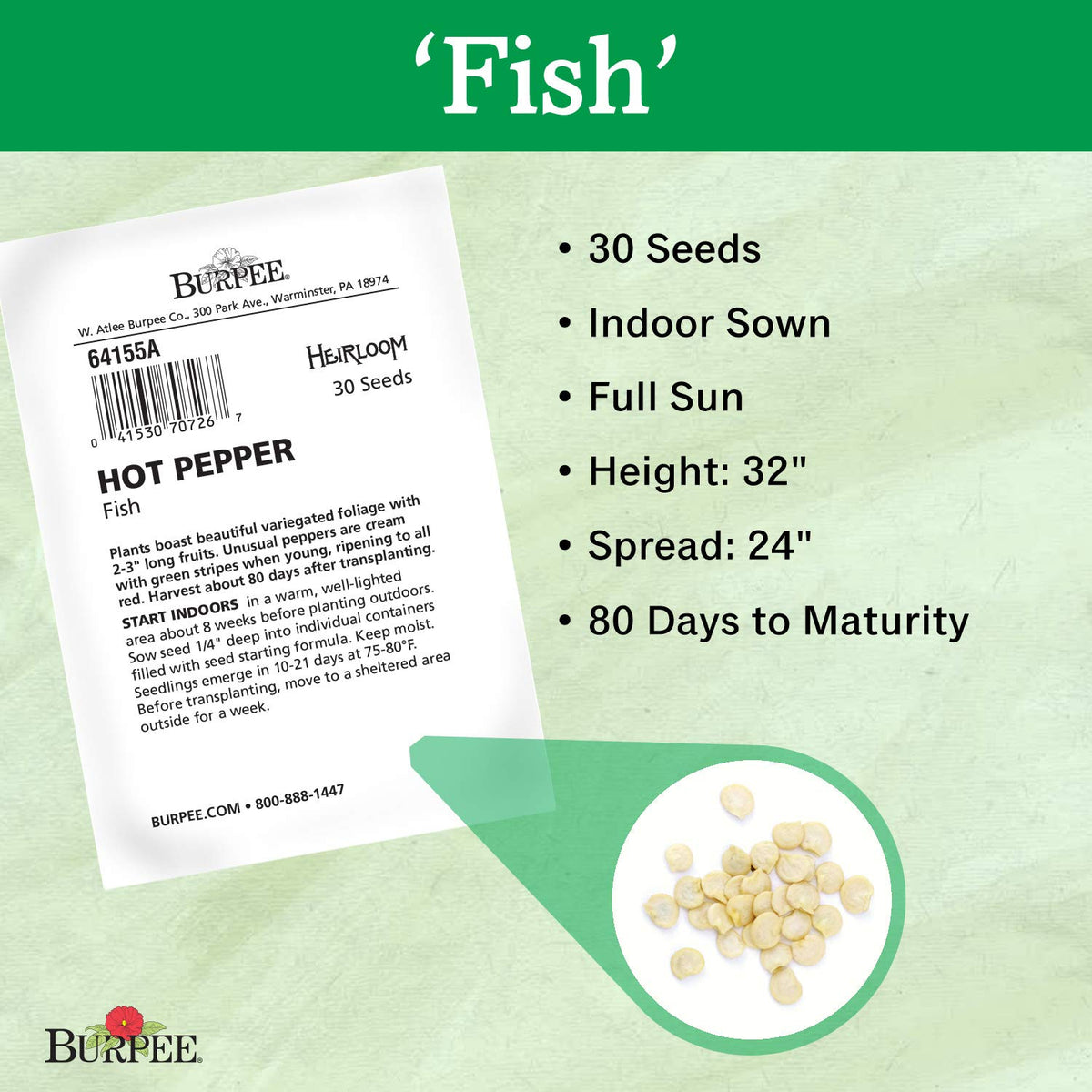 Burpee Fish Hot Pepper plant height and spread in garden
