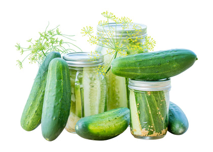 Burpee Fresh Pickles cucumber seeds seed packet front for easy patio gardening.