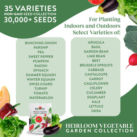 Burpee Heirloom Seeds packet close-up for flavorful homegrown vegetables