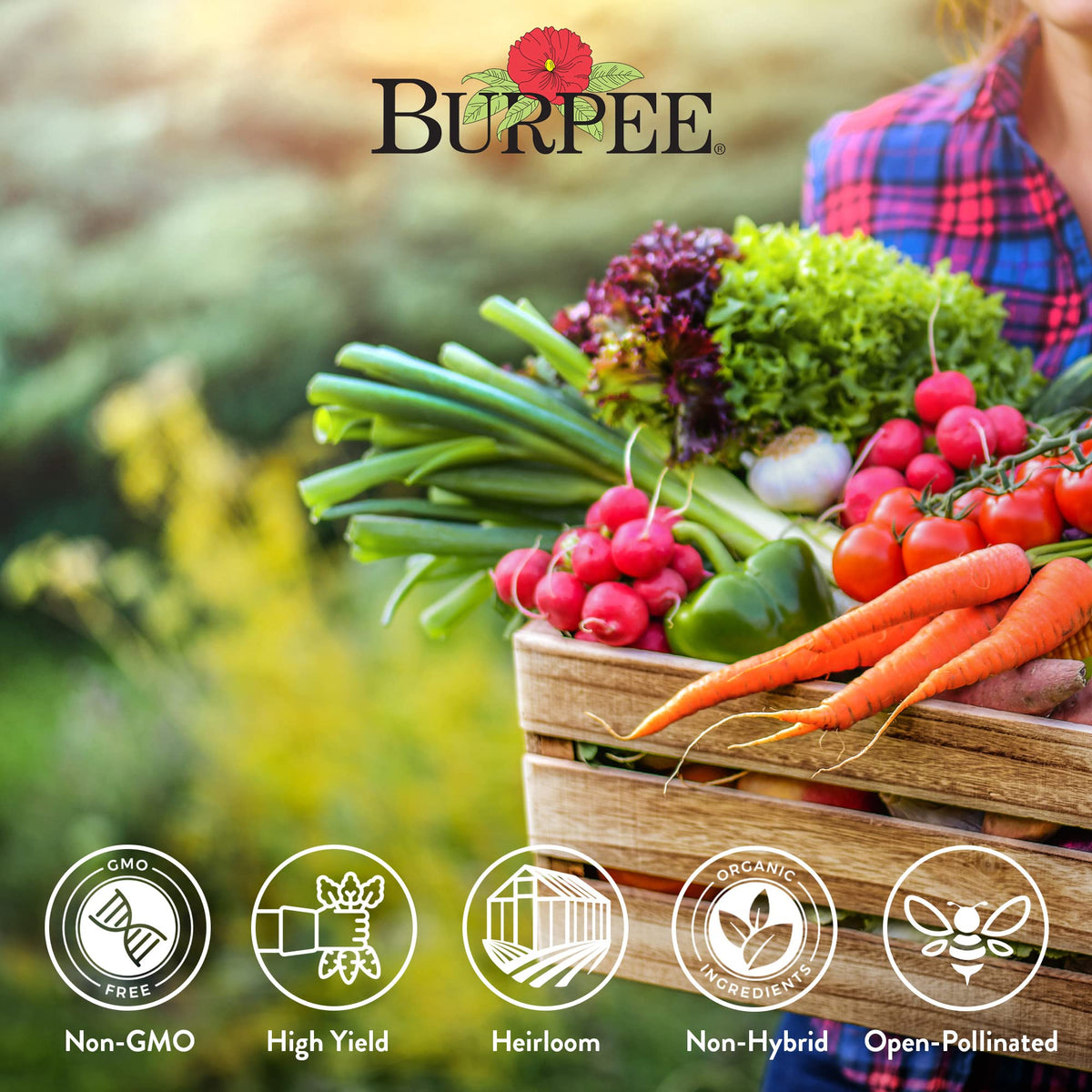 Burpee Heirloom Seeds variety display featuring lettuce, beans, tomatoes