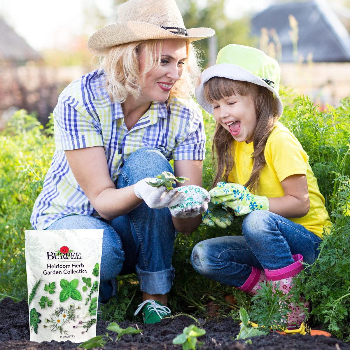 Burpee herbs ready for tea time and everyday cooking.