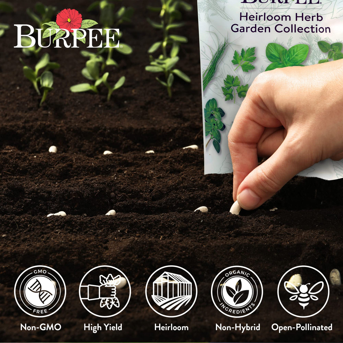 Burpee indoor outdoor herb garden in container setup ready to grow.
