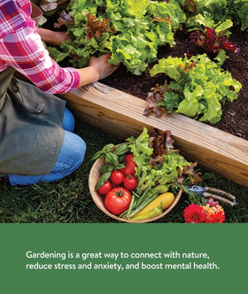 Burpee kale seeds for vibrant, hearty greens in summer harvests