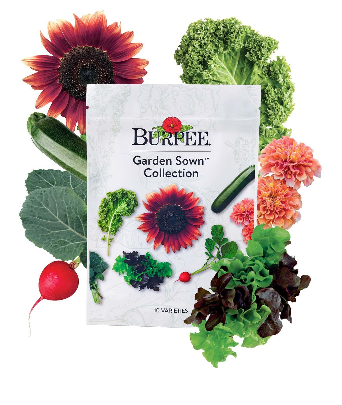 Burpee lettuce seeds ready to sow for fresh homegrown salads
