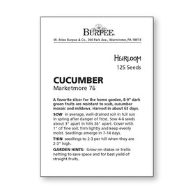 Burpee MarketMore 76 harvest-ready cucumbers for crisp slicer meals