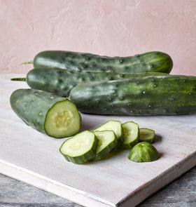 Burpee MarketMore 76 slicing cucumber fruit for crisp home-grown slices