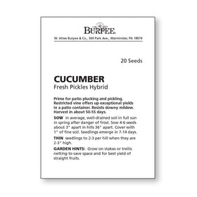 Burpee seed starting kit with Fresh Pickles seeds for confident sowing.