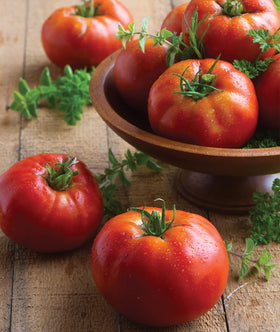 Indoor seed-starting tips for early germination and growth.