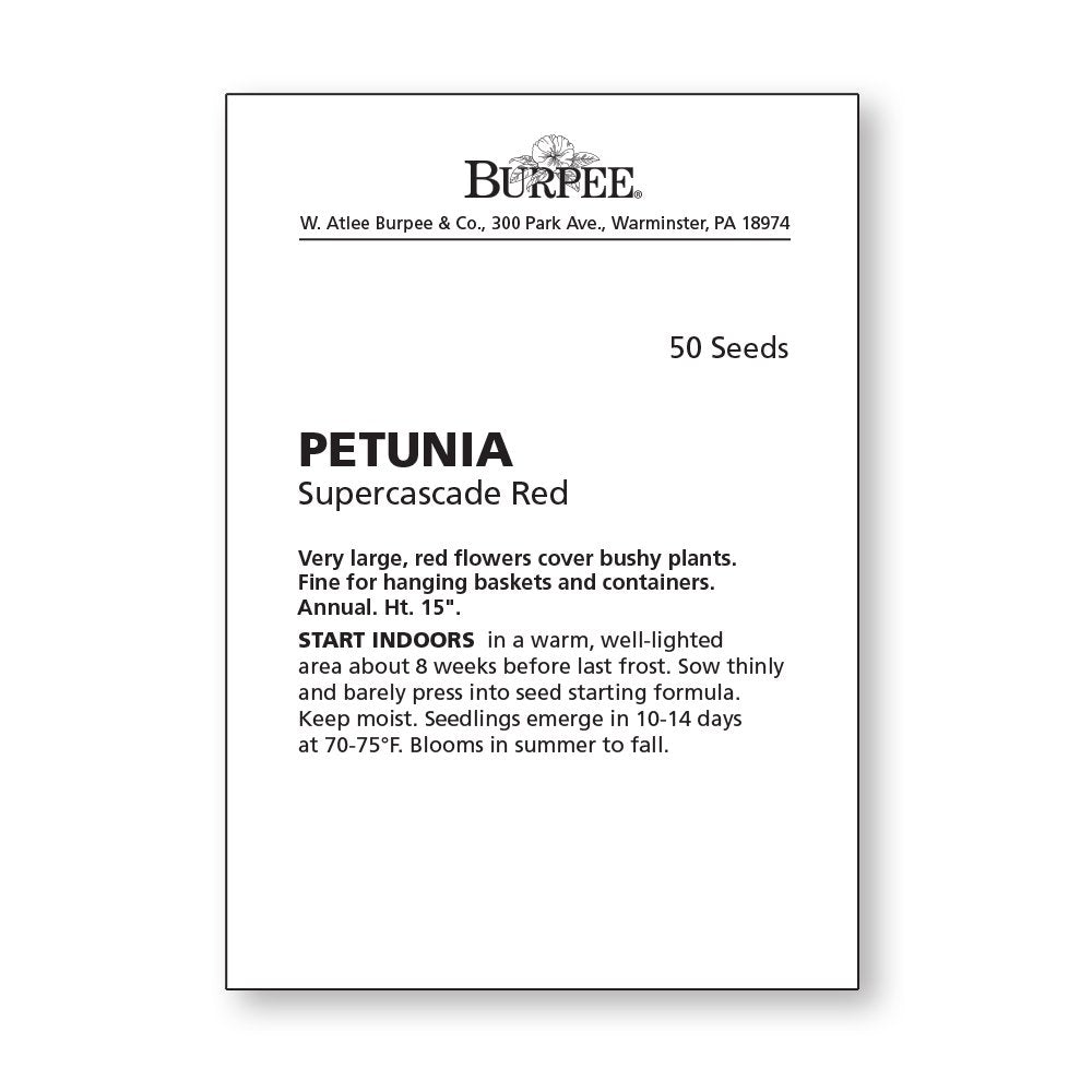 Burpee Supercascade Red Petunia blooms in planter displays, ideal for hanging baskets.