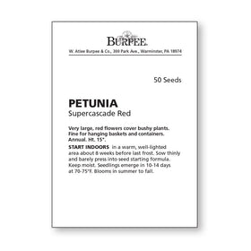 Burpee Supercascade Red Petunia blooms in planter displays, ideal for hanging baskets.