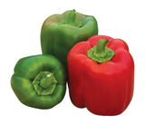 Burpee Sweet Candy Apple Pepper Seeds – 71-Day Sweet Red Bell Pepper for Home Gardens