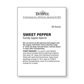 Burpee Sweet Candy Apple pepper seeds planted image with vibrant peppers developing for home garden use