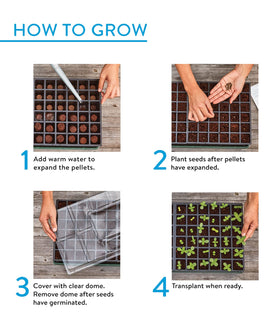Burpee XL plant stands elevating trays for easy access and care