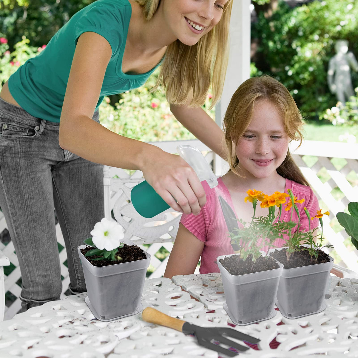 Business King frosted square pot design adds a sleek indoor look.