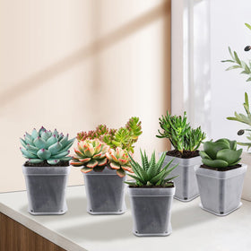 Business King compact stackable pots for easy storage.