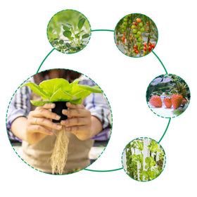 Business King net pot showcases compatibility with multiple growing media.