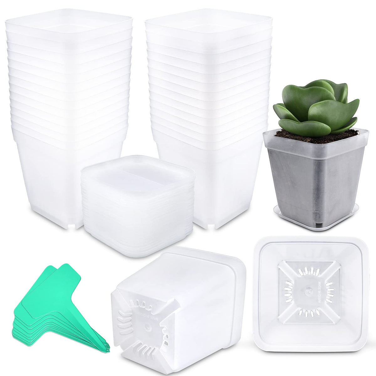 Business King square pot with a 3-inch opening for seed starting and drainage.