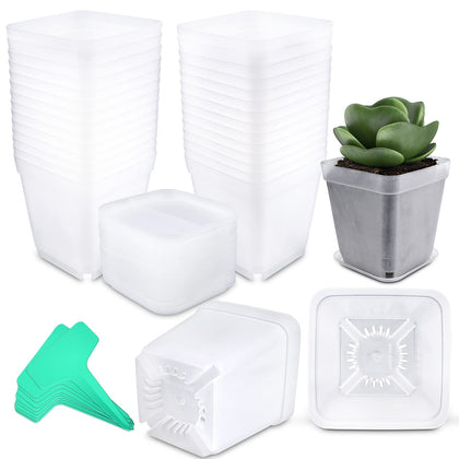 Business King square pot with a 3-inch opening for seed starting and drainage.