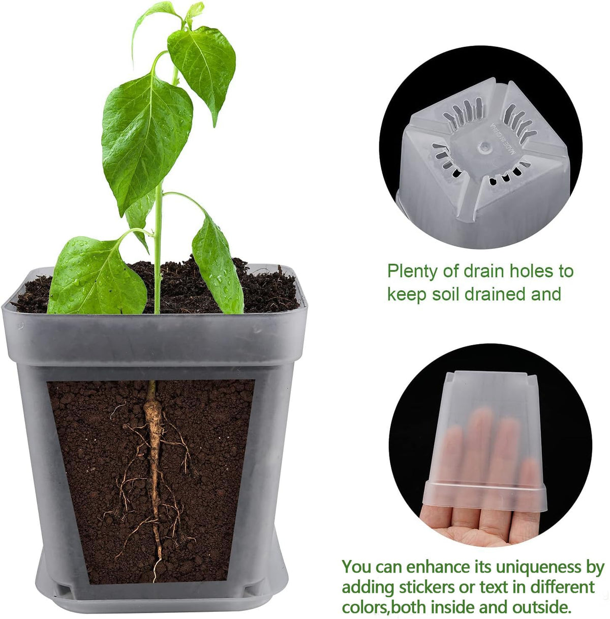 Business King square pot highlighting drainage holes for healthy soil aeration.