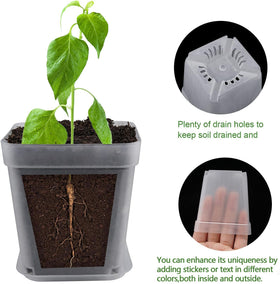 Business King square pot highlighting drainage holes for healthy soil aeration.