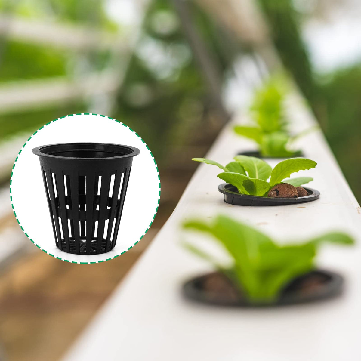 Business King net pot suited for tower gardens in hydroponic setups.