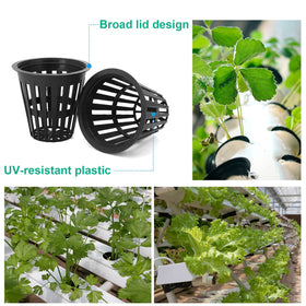 Business King UV-resistant net pot designed for outdoor durability.