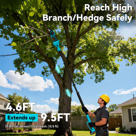 BuyJoy 1000W brushless motor delivers powerful pruning.