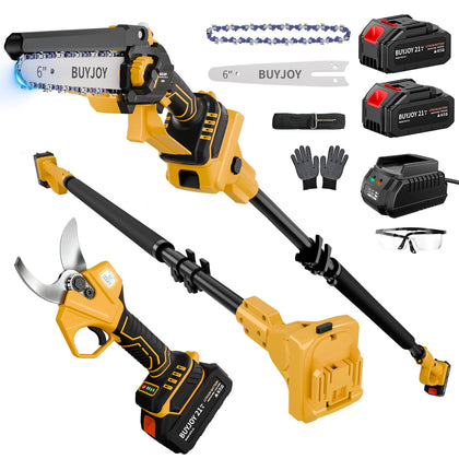 BuyJoy 4in1 pole saw kit enabling versatile pruning from ground level.