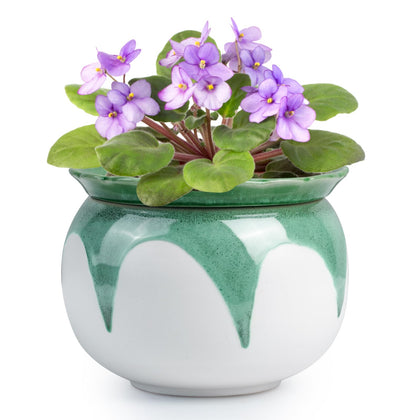 BUYMAX African Violet Pot 6-inch self-watering with green glaze promotes steady soil moisture.