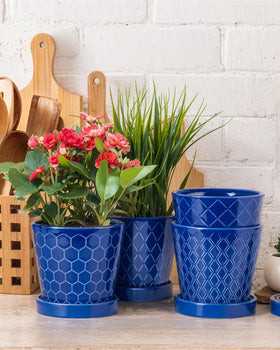 BUYMAX ceramic pot 5-inch blue-striped cone with drainage tray for easy watering.