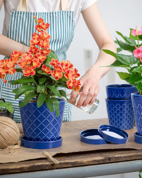 BUYMAX 5-inch blue-striped ceramic pot close-up highlights glossy glaze.