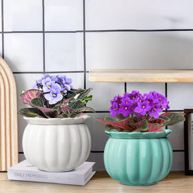 BUYMAX two-piece design offers standalone use for flexible setups