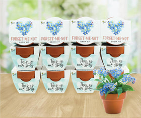 BUZZY blue Forget-Me-Nots in bloom add calming color to spaces