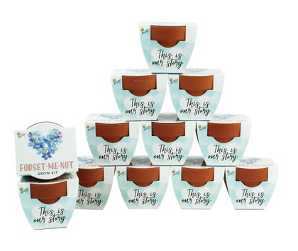 BUZZY Forget-Me-Not mini terracotta pot kit ready for beginner indoor gardening