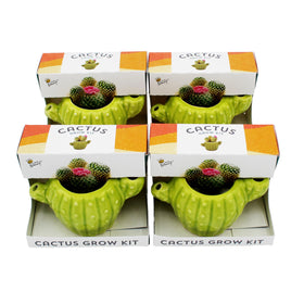 Buzzy Seeds 4-pack gifts great for birthdays, housewarmings, or plant lovers